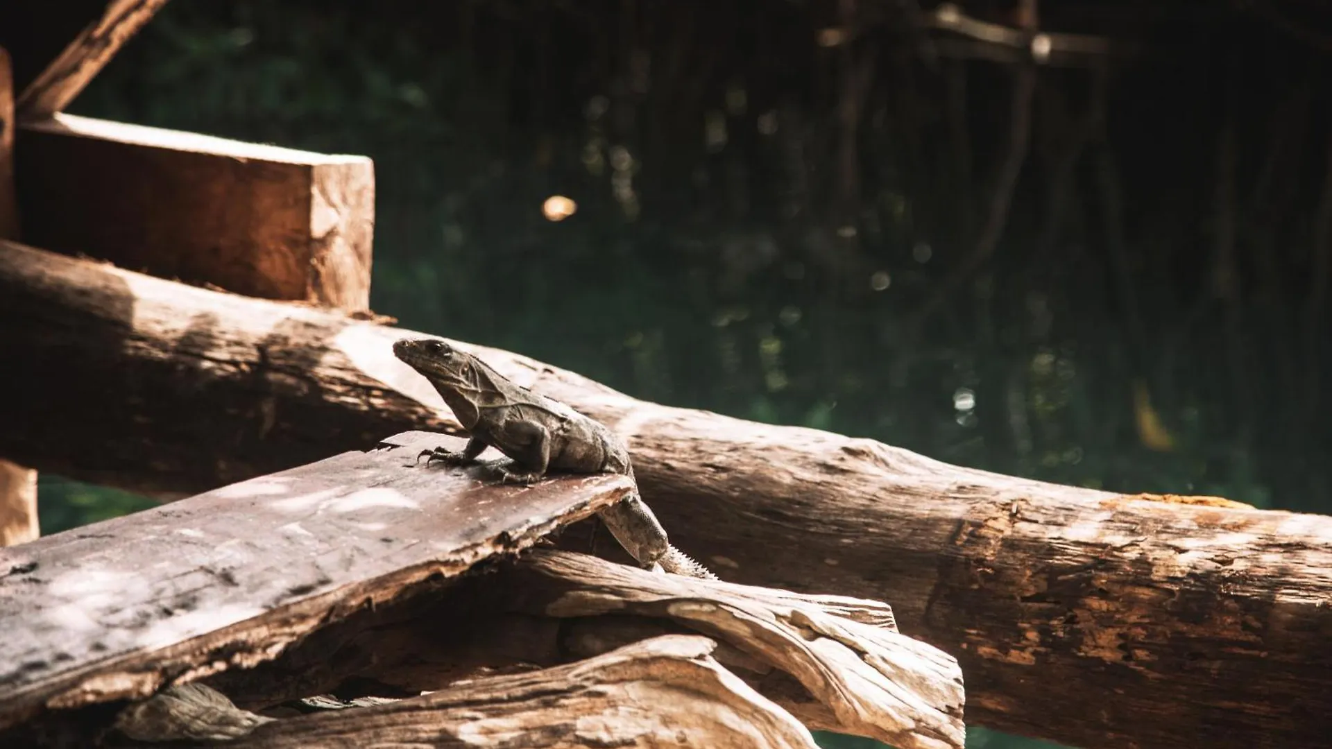 Luxe tent Uman Glamping & Cenote Tulum Hotel