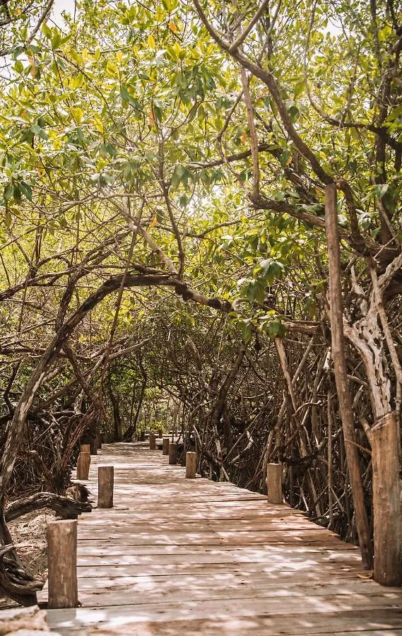 Luxe tent Uman Glamping & Cenote Tulum Hotel