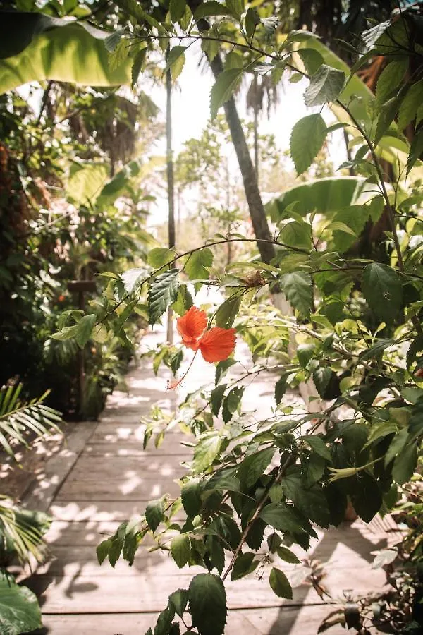 Luxe tent Uman Glamping & Cenote Tulum Hotel